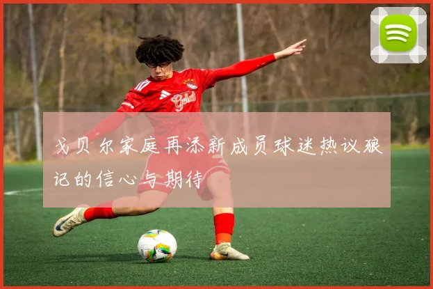 戈贝尔家庭再添新成员球迷热议狼记的信心与期待