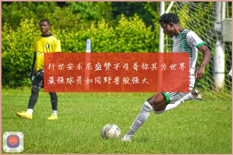 科尔安东尼盛赞字母哥称其为世界最强球员如同野兽般强大