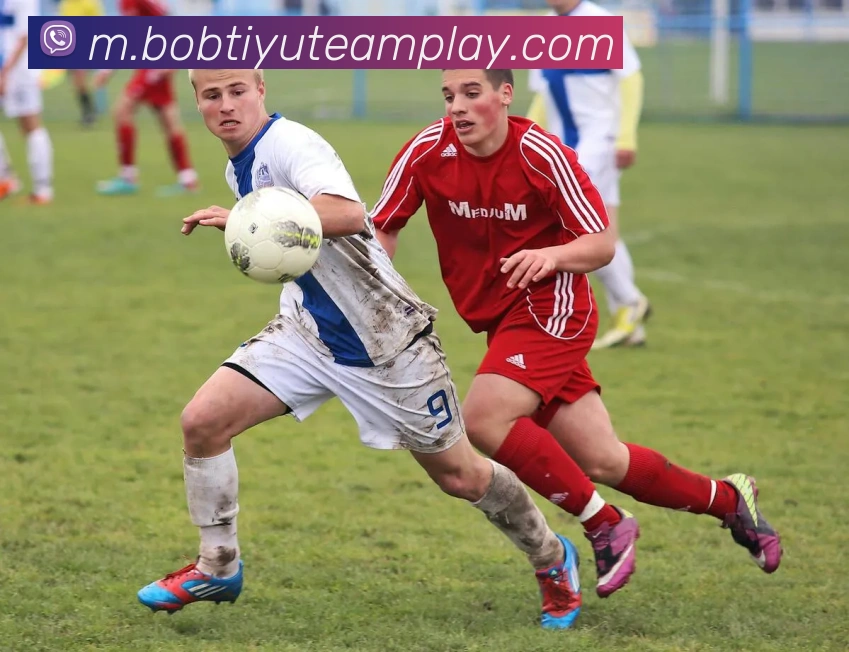 BOB体育APP 封面图